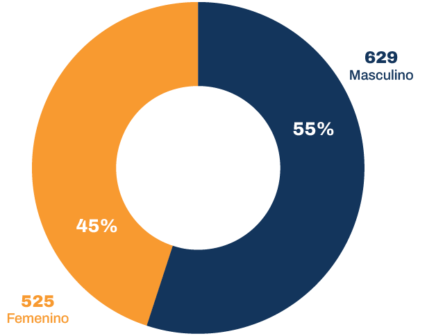 Dotación efectiva del Poder Judicial